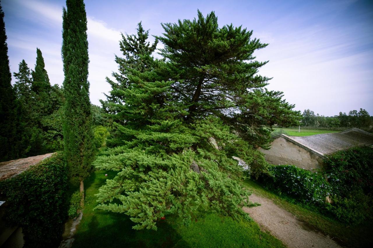 Masseria Perronello Country House Castellaneta Marina Exterior foto
